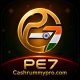 PE7 Game APK
