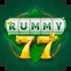 rummy 77