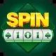 Spin 101